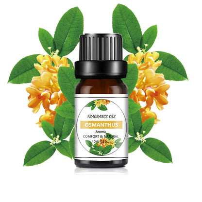 Fragrance Oil